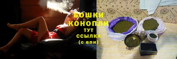 индика Покровск