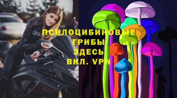 винт Алзамай